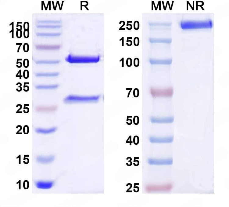 TD-HW601207_1.jpg