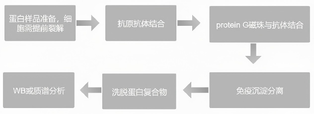 技术服务_（图）IP Co IP检测服务20260324.png