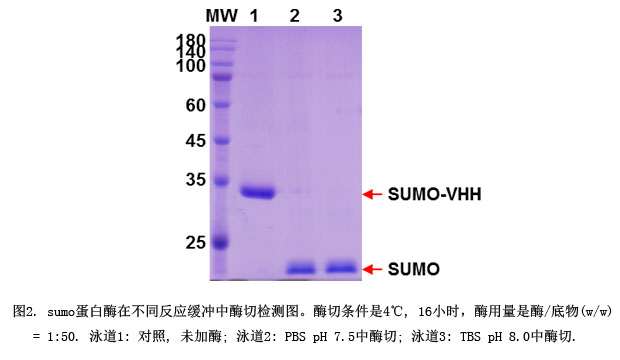 TD-CSE00004_2.jpg