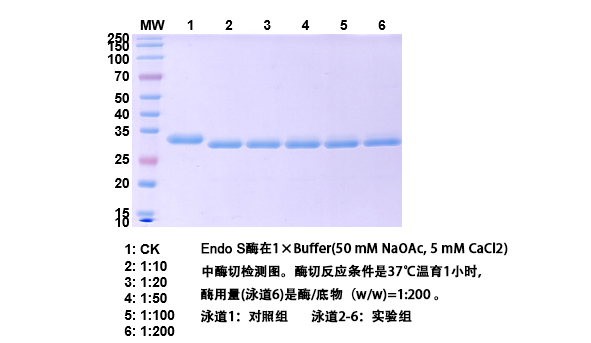 TD-CSE00017_2.jpg