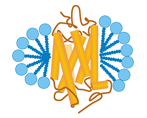 去垢剂技术平台_TP-list-img02.png