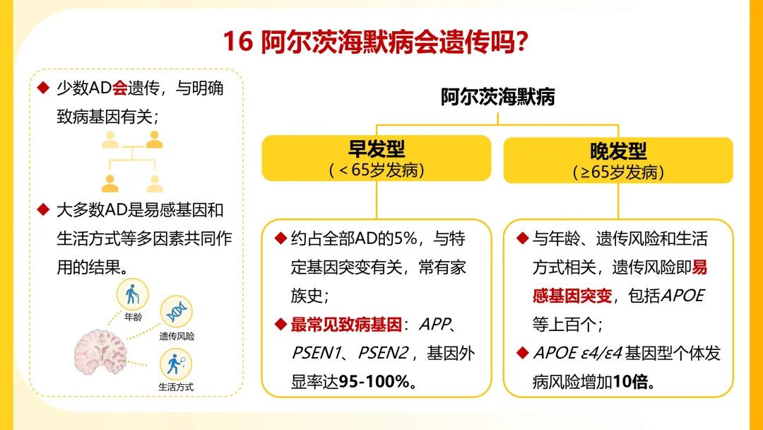一图读懂阿尔茨海默病【2026】16.jpg