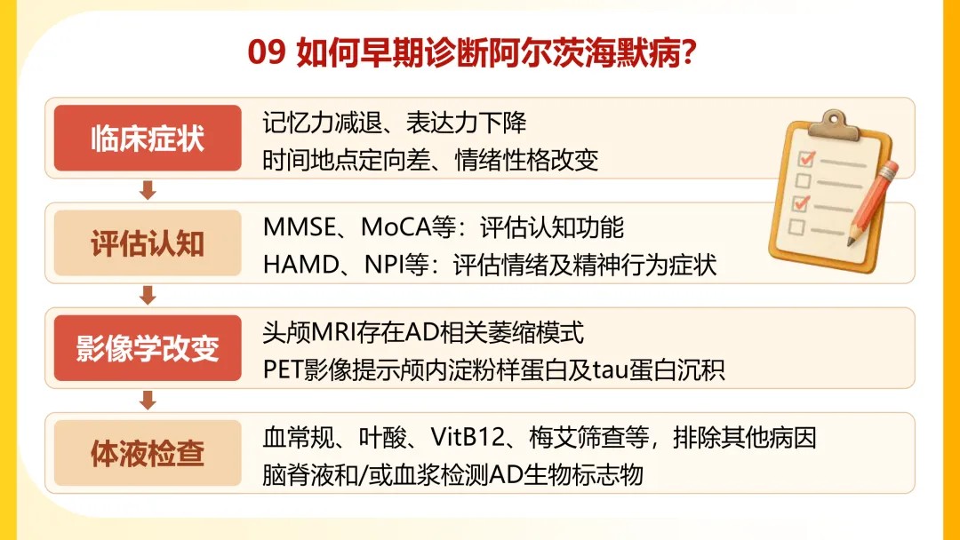 一图读懂阿尔茨海默病【2026】09.jpg