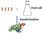BEVS-service-content-3.png